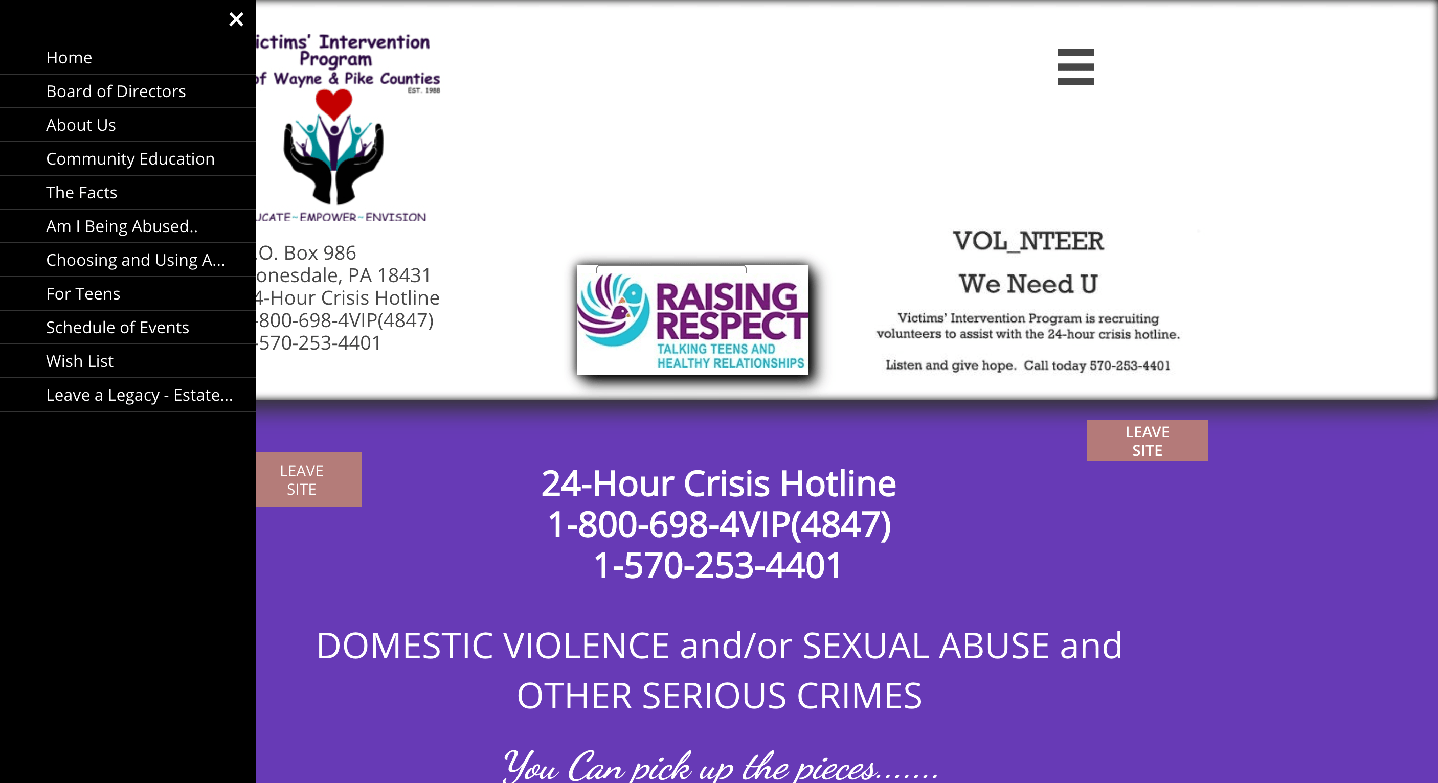 screenshot of vip's old website design
